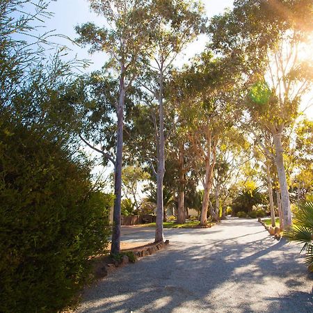 Modra'S Apartments Tumby Bay Bagian luar foto