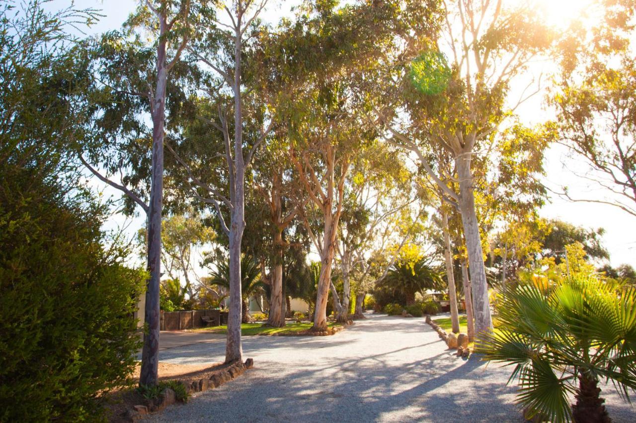 Modra'S Apartments Tumby Bay Bagian luar foto